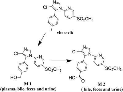 Pharmacokinetics, Tissue Distribution, Metabolism and Excretion of a Novel COX-2 Inhibitor, Vitacoxib, in Rats